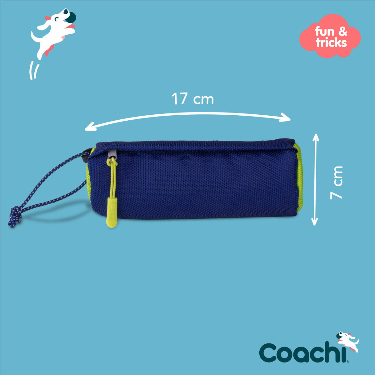 Training toy Coachi Blue