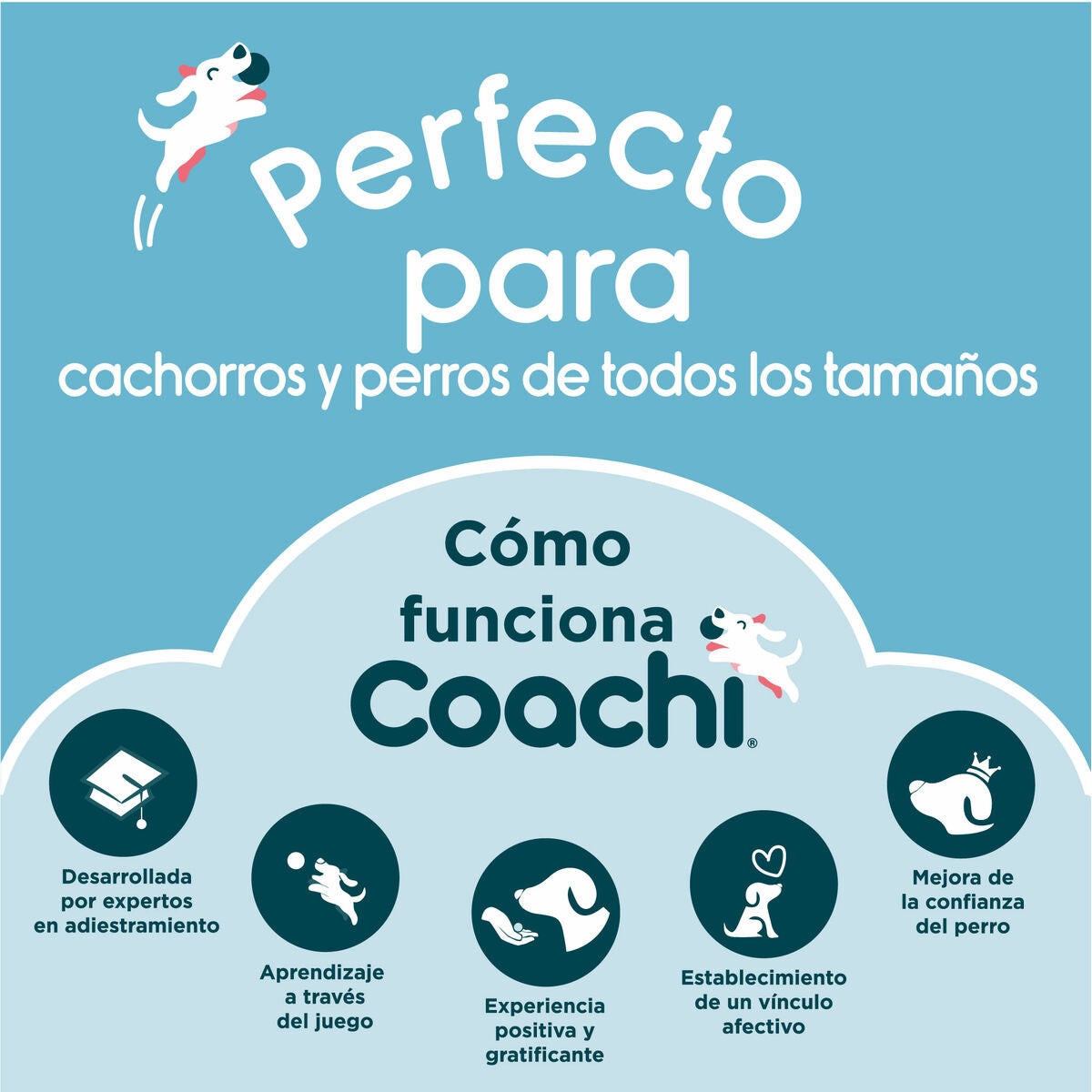 Juguete de adiestramiento Coachi TRAINING DUMMY Azul