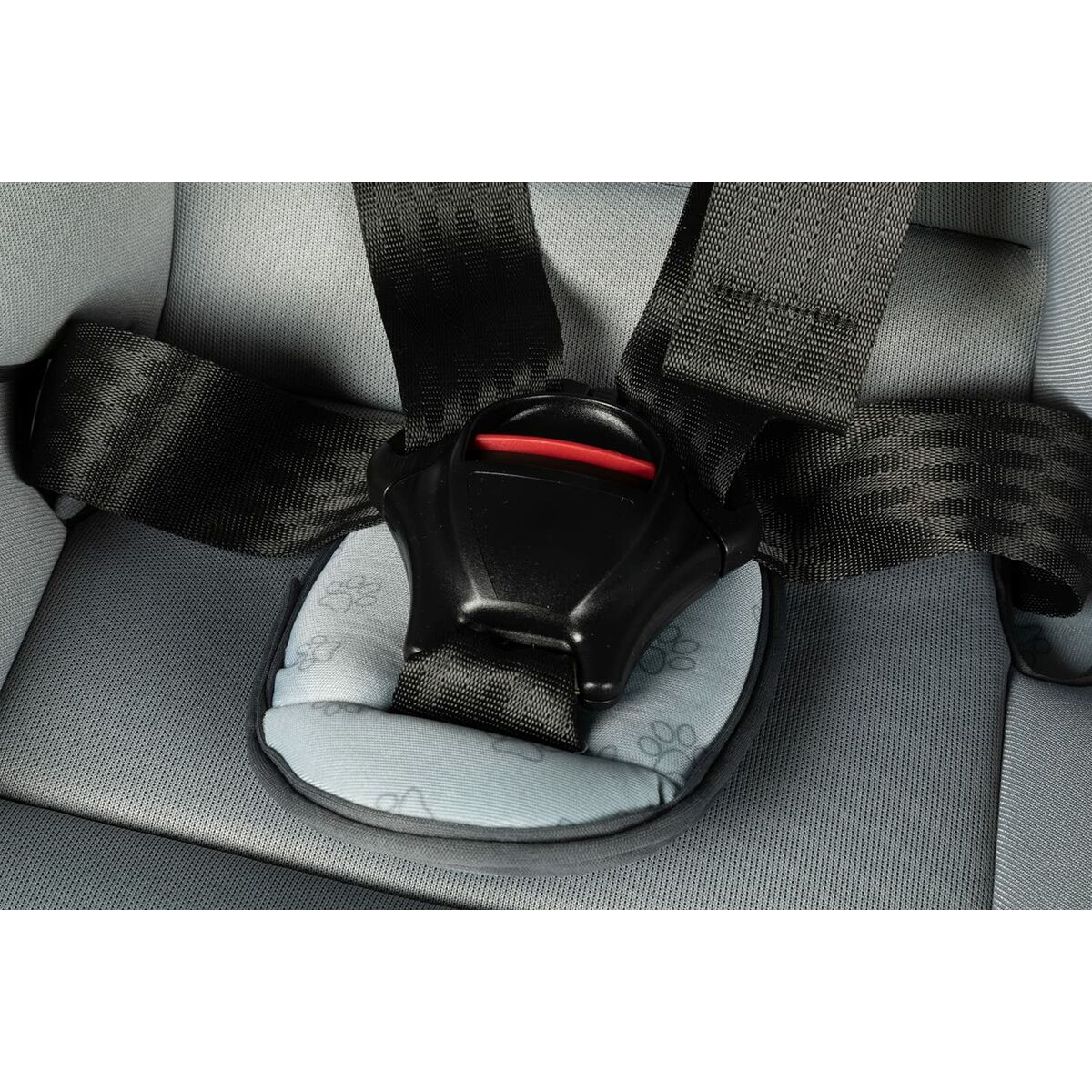 Silla para el Coche Hilo CZ11032 9 - 36 Kg Gris