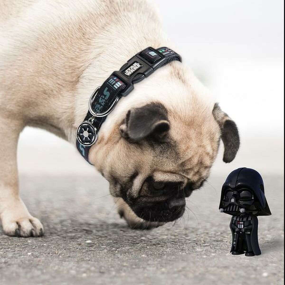 Collar para Perro Star Wars Negro S/M