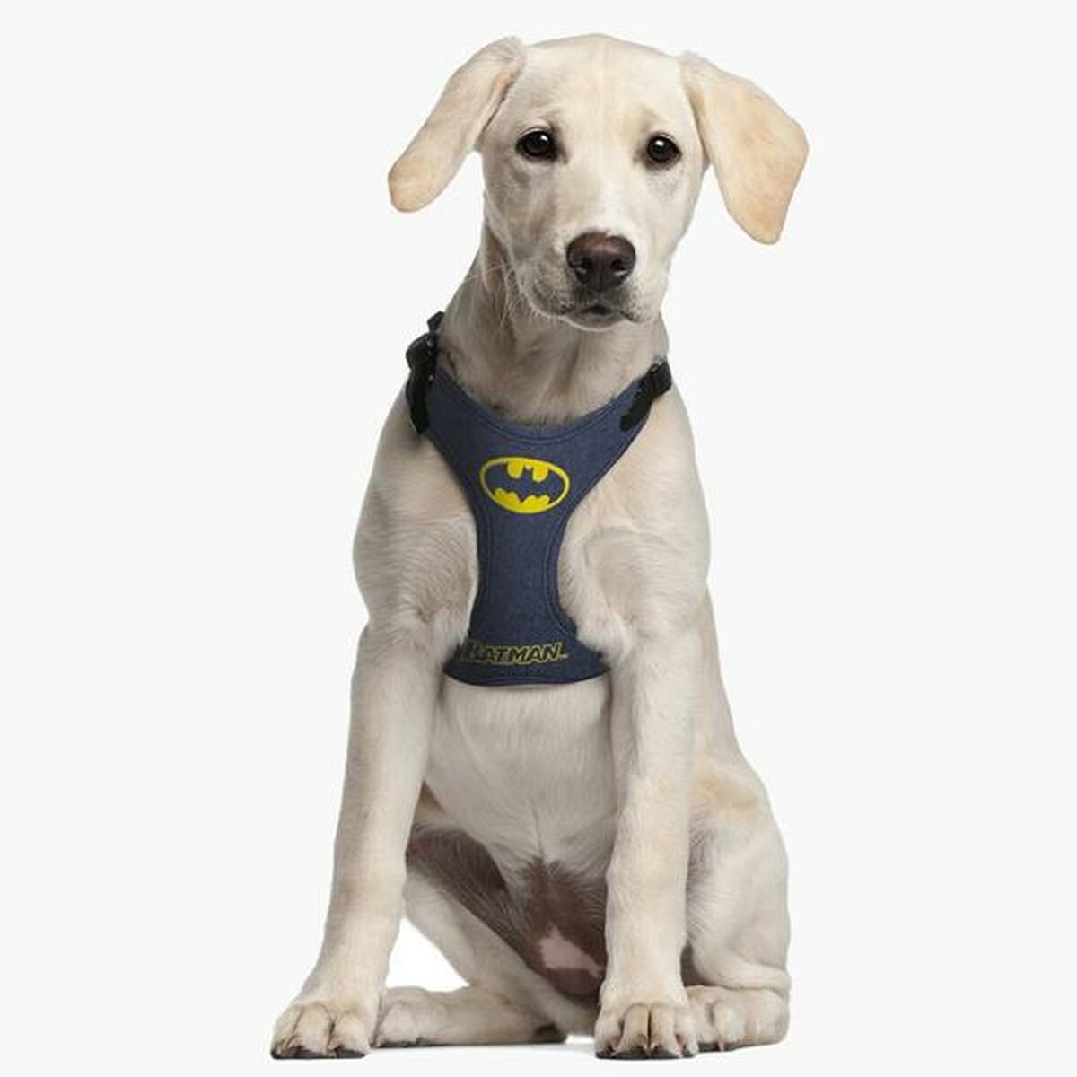 Hundegeschirr Batman XXS/XS Blau