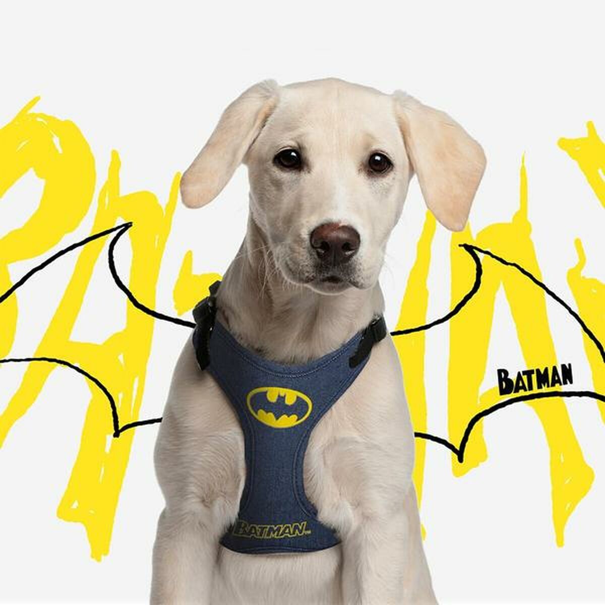 Arnés para Perro Batman XXS/XS Azul