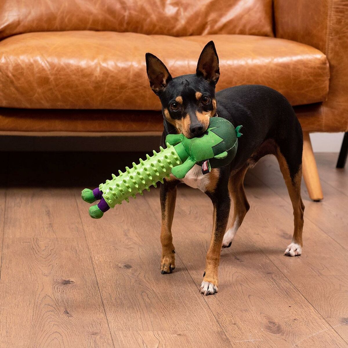 Juguete para perros The Avengers   Verde 100 % poliéster