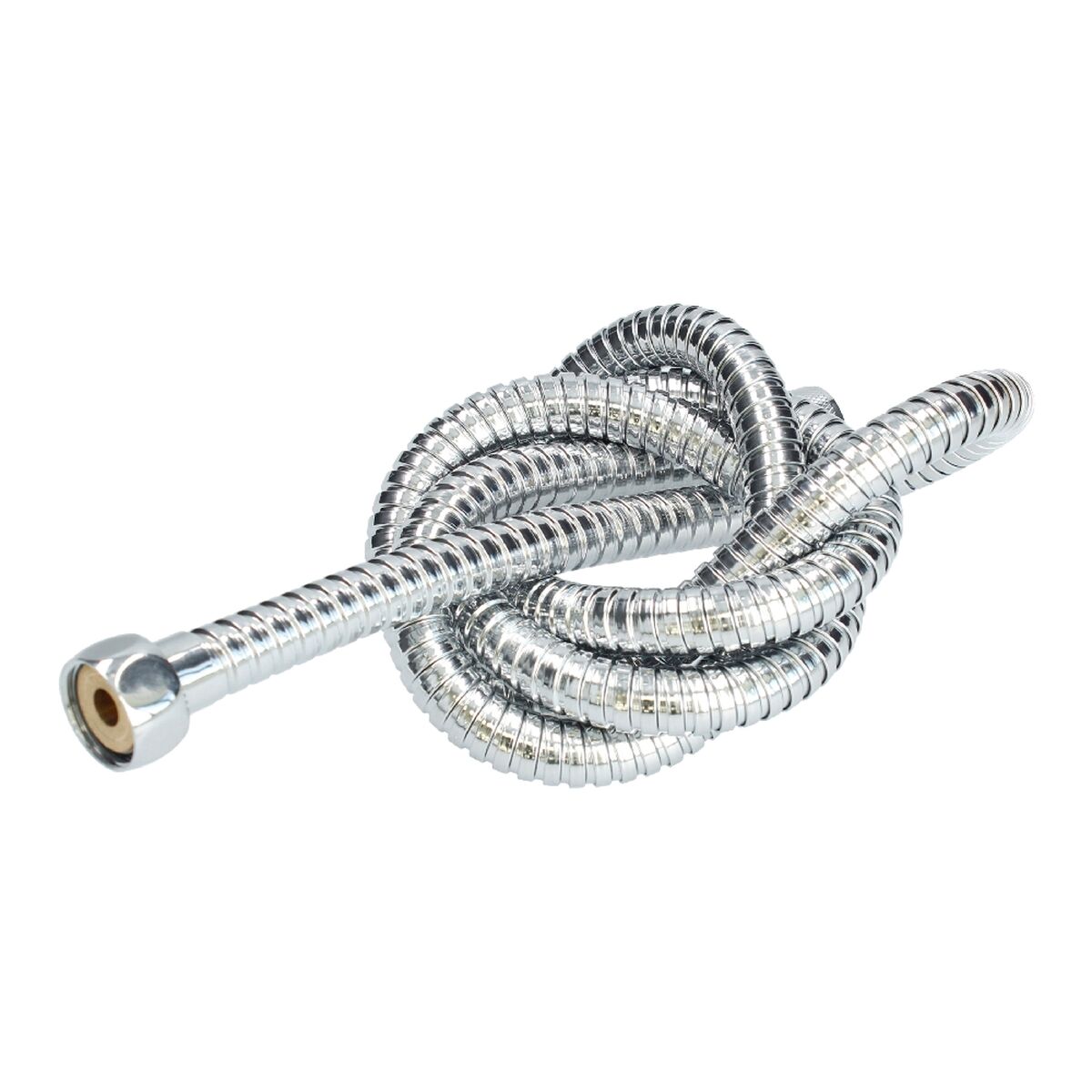 A shower head with a hose to direct the flow Fontastock H 1/2" 2 m