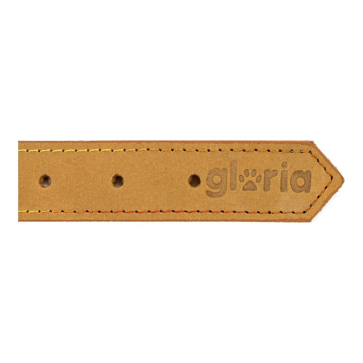 Collar para Perro Gloria Oasis Amarillo (65 x 3 cm)