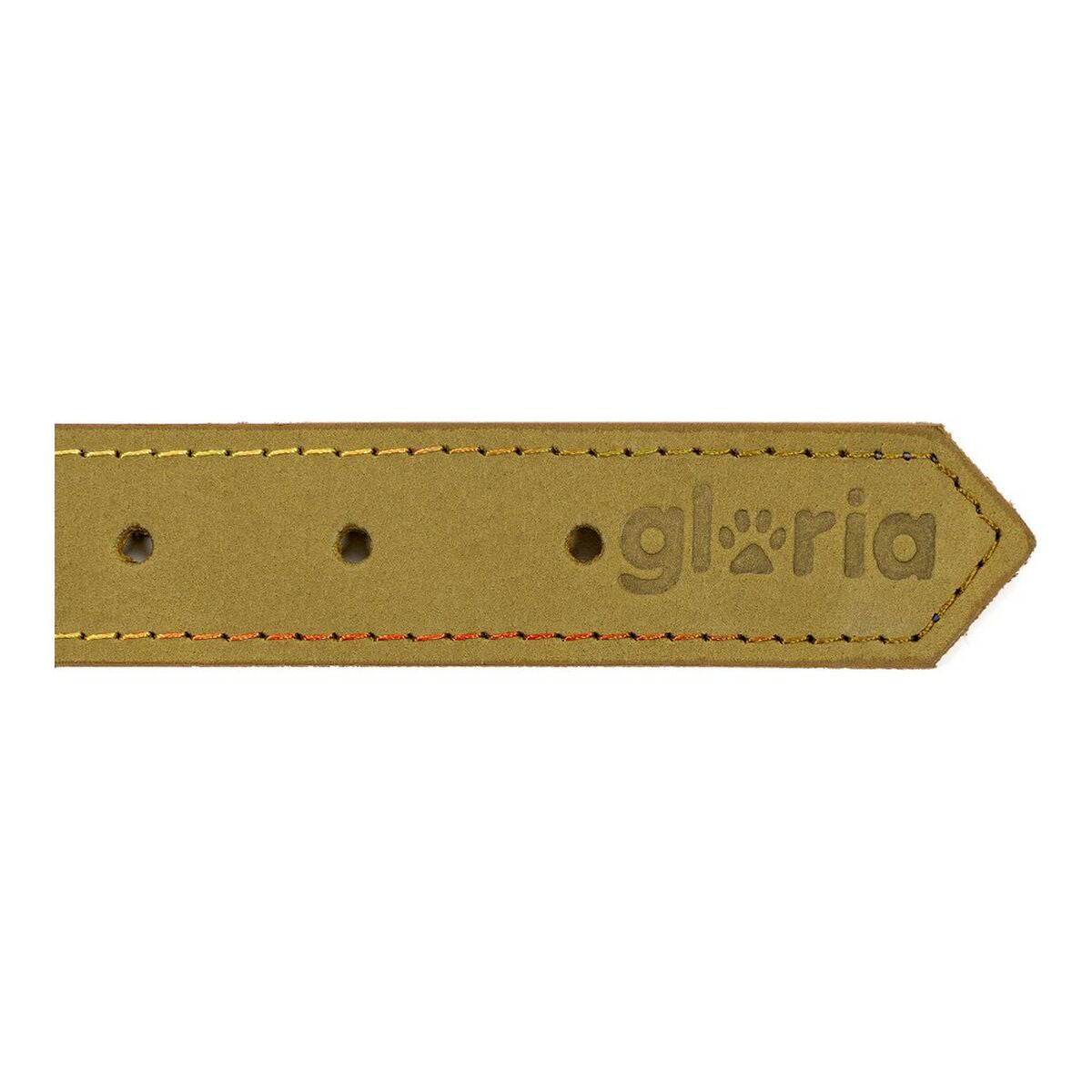 Hundehalsband Gloria Oasis grün 55 cm (55 x 2,5 cm)