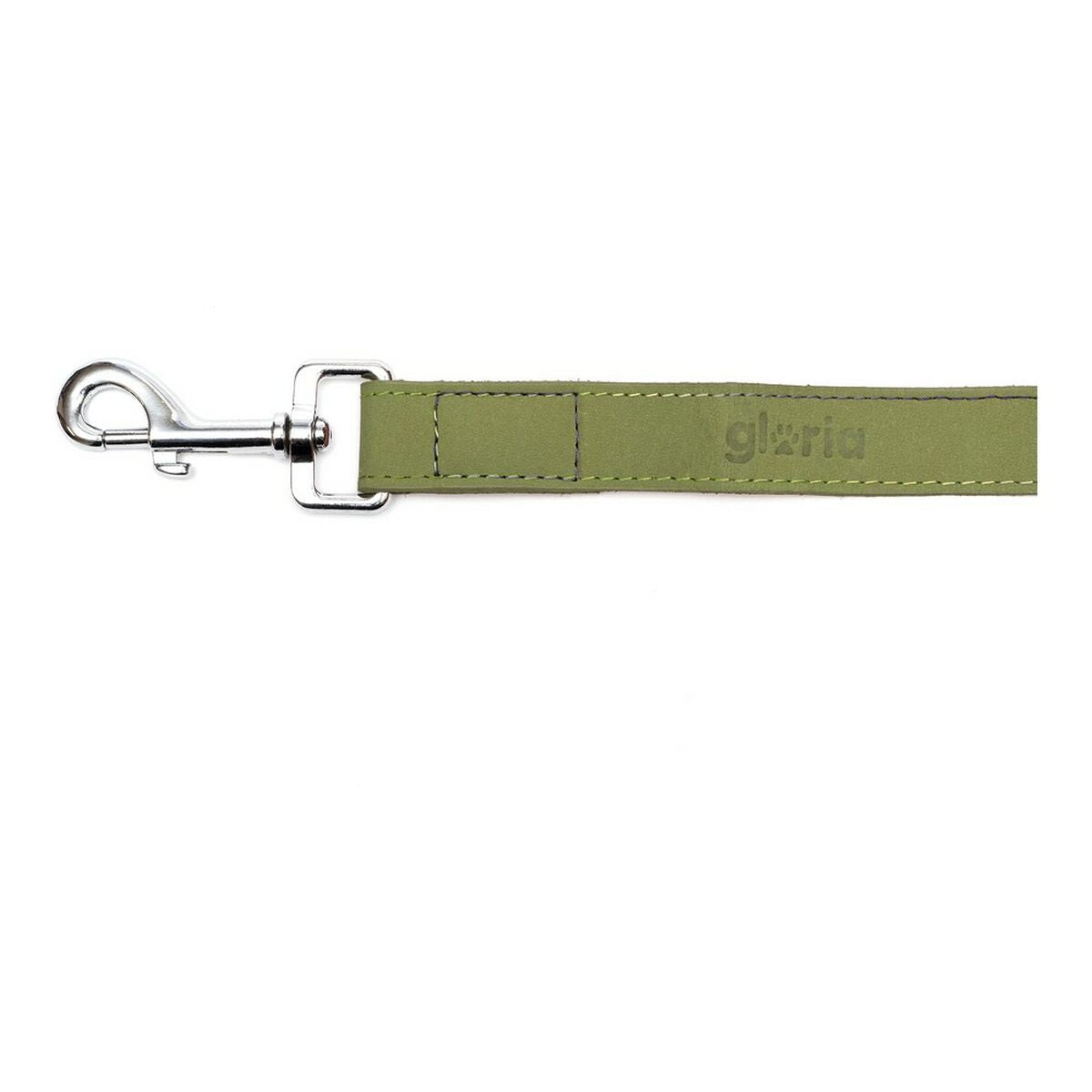 Dog Lead Gloria Oasis 3 x 60 cm Green