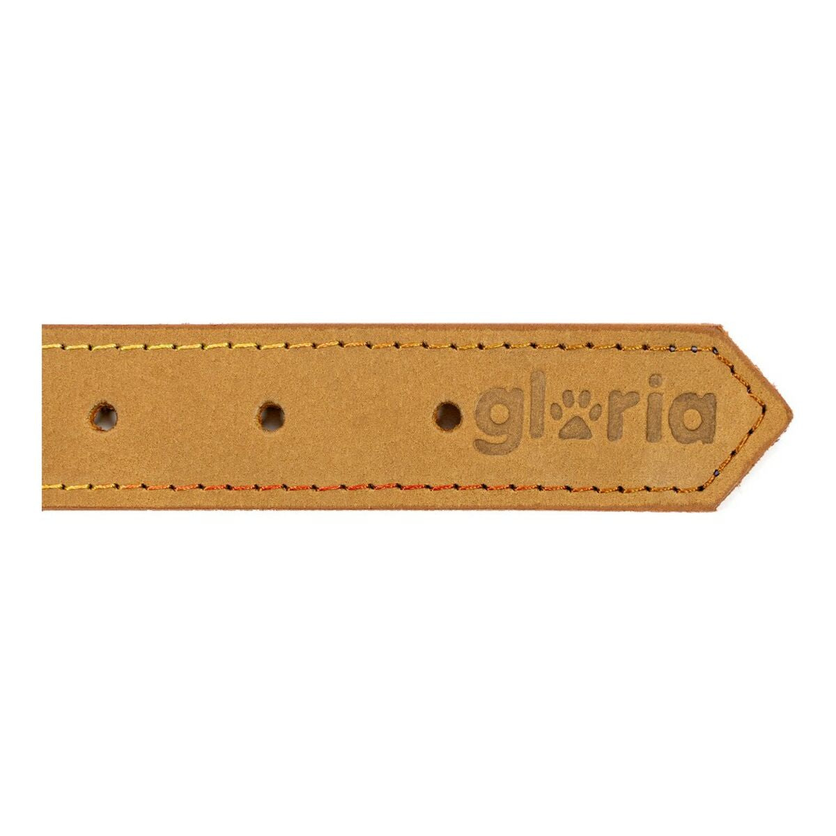 Collar para Perro Gloria Oasis Amarillo (1,5 x 40 cm)