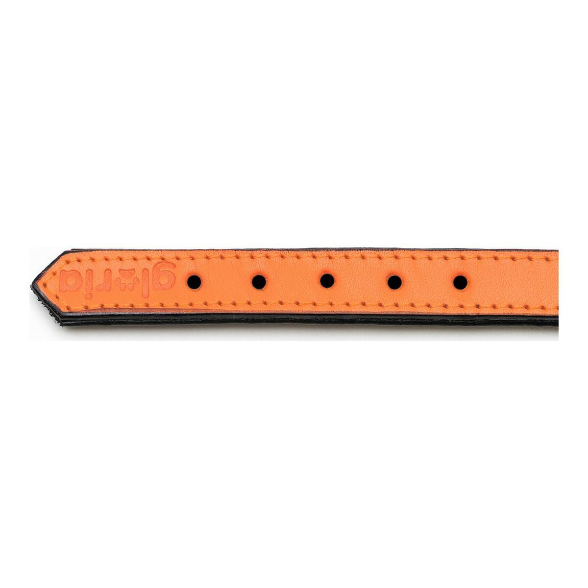 Hundehalsband Gloria Polsterung Orange 35 cm (35 x 1,5 cm)