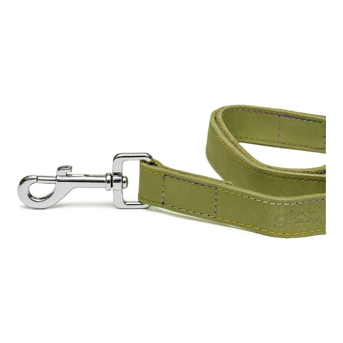 Dog Lead Gloria Oasis 2.1 x 100 cm Green