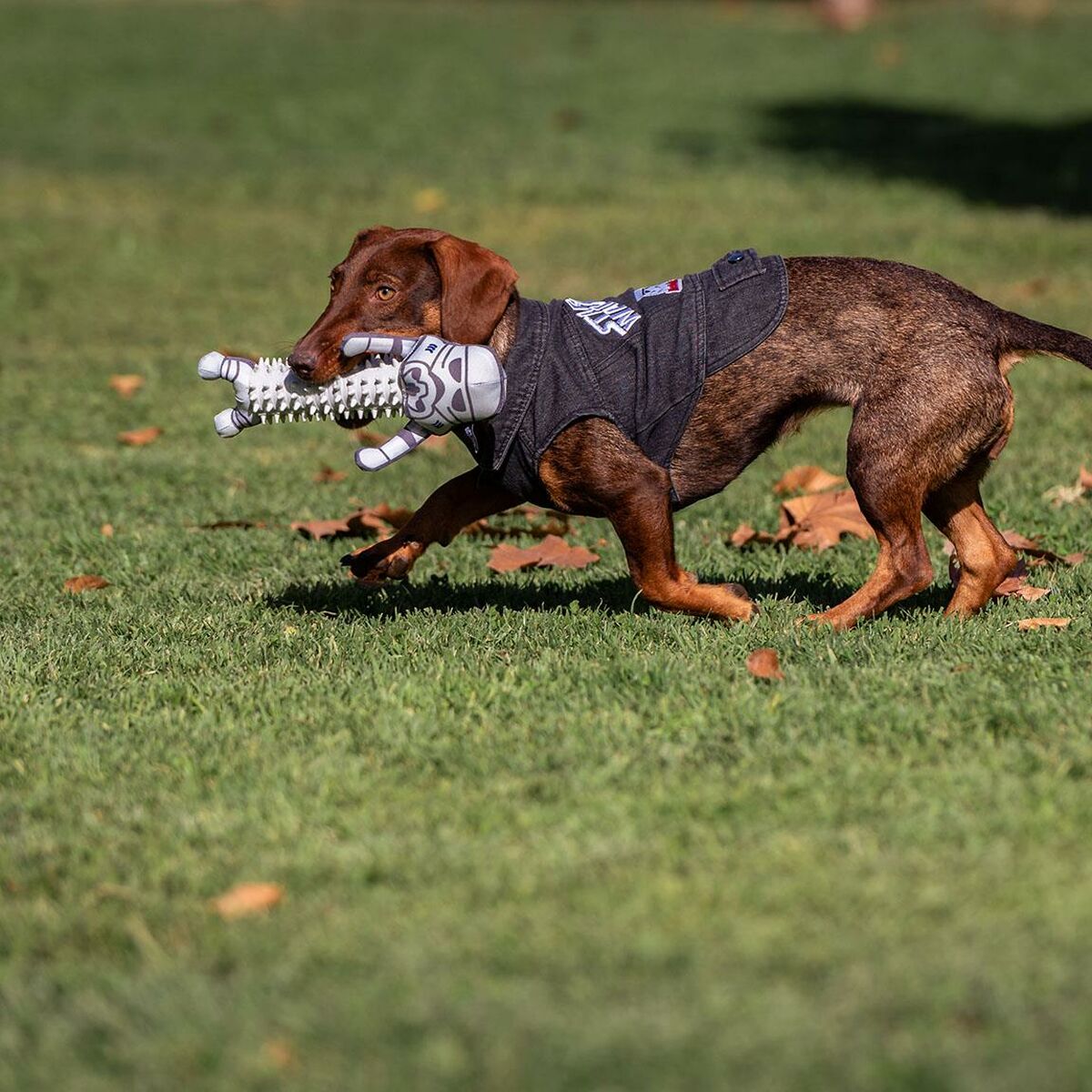 Hundejacke Star Wars Grau XXS