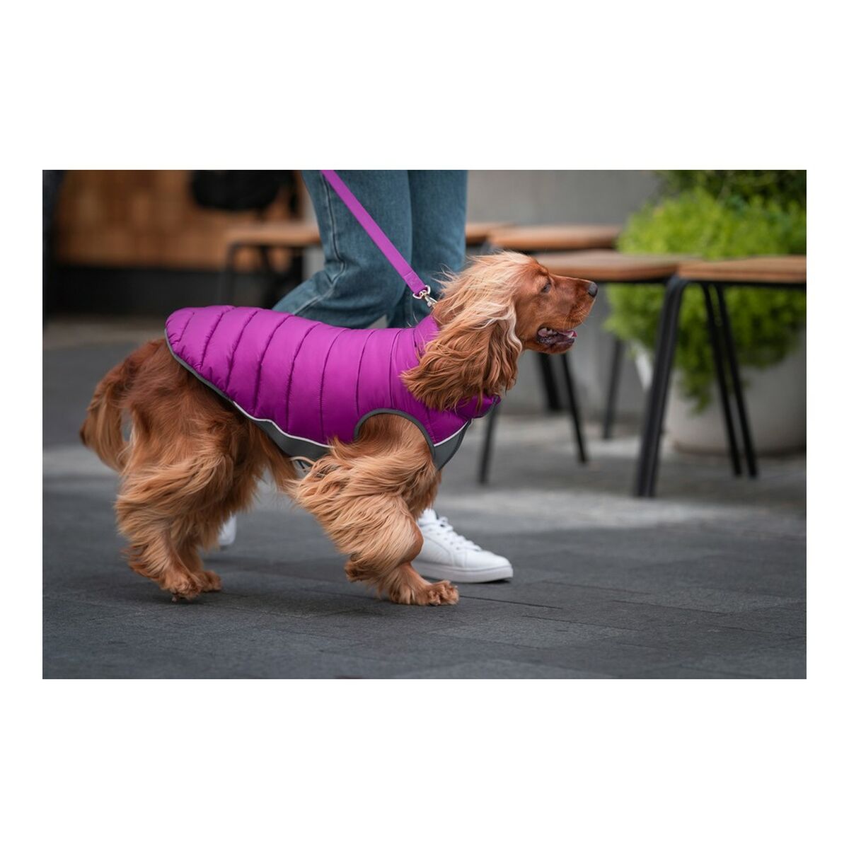 Dog Coat Red Dingo Puffer Pink/Purple 30 cm